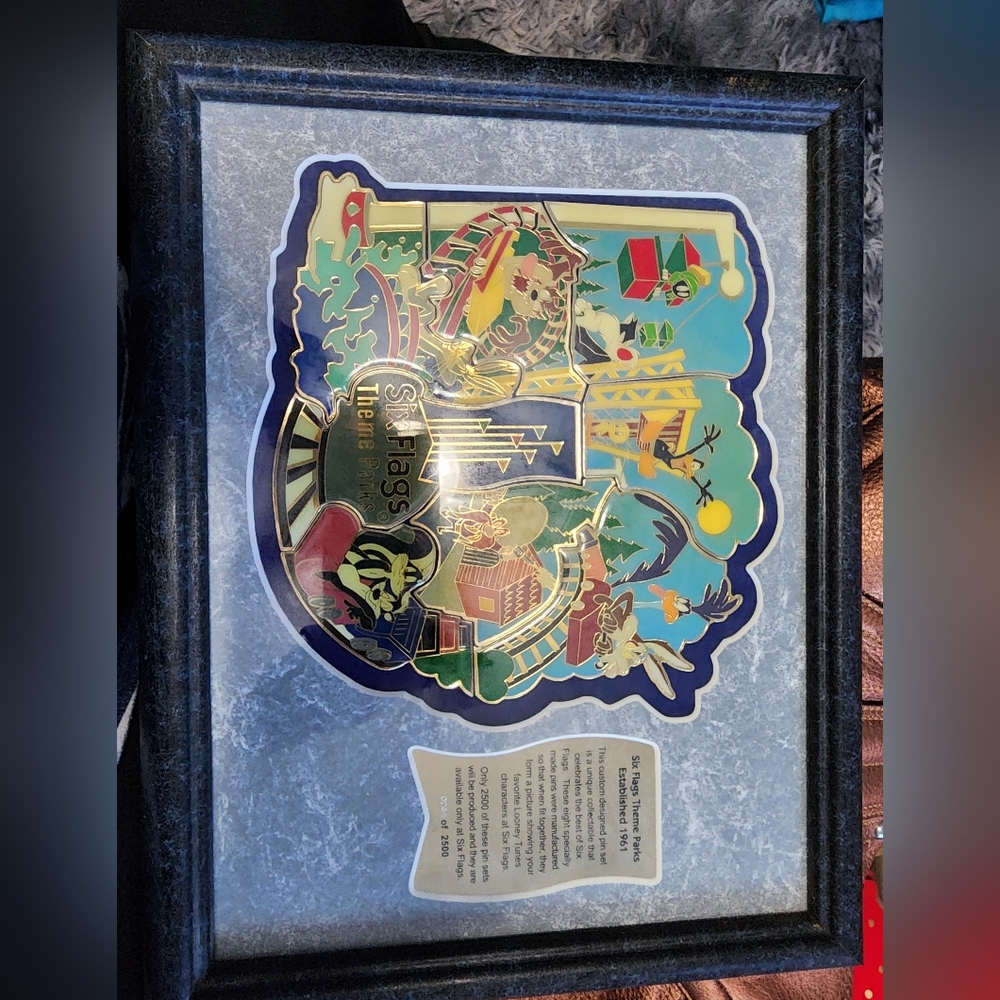 Six Flags pin set